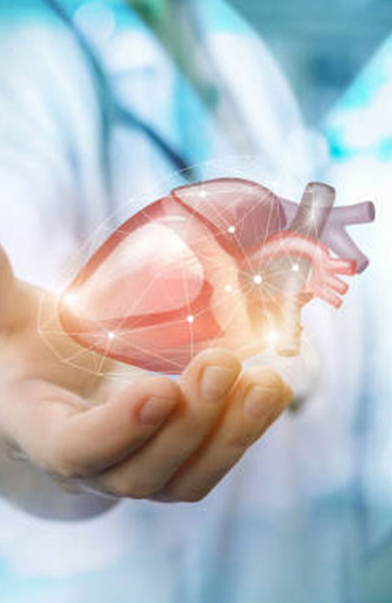 HeartCare - Reabilitação Cardíaca - Você sabia?